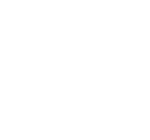 Oswal Logo White