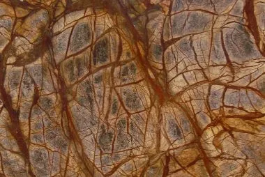 rainforest brown polished